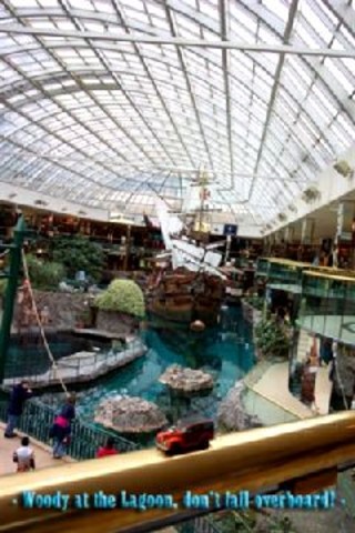 347 Woodie at the West Edmonton mall