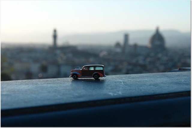 Woodie in Florence 2