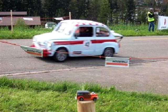 Woodie at a race in Zrich (14)