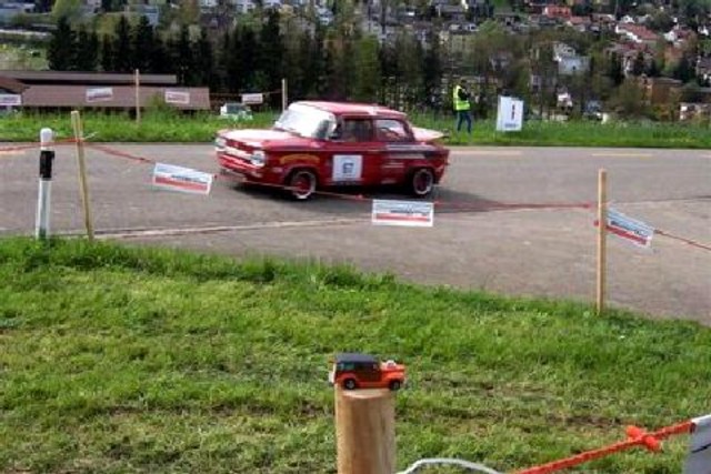 Woodie at a race in Zrich (19)