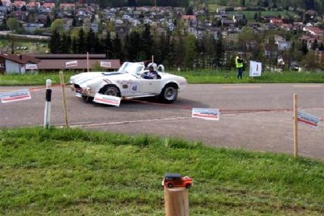 Woodie at a race in Zrich (2)