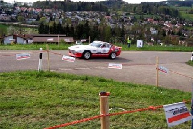 Woodie at a race in Zrich (20)
